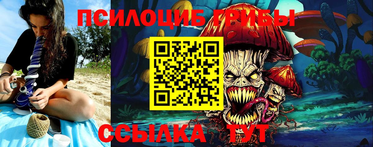 Псилоцибиновые грибы GOLDEN TEACHER Севастополь